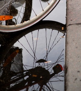 cykel framhjul i vatten